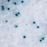 ZO Skin Health Exfoliating Cleanser photo credit ZO Skin Health